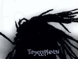 Tinyeggplant93