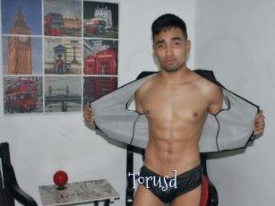 Torusd