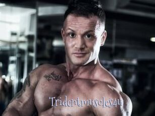 Tridentmuscles4u