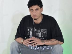 Tristenswan