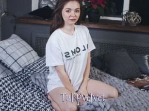 Tulipvelvet
