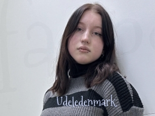 Udeledenmark