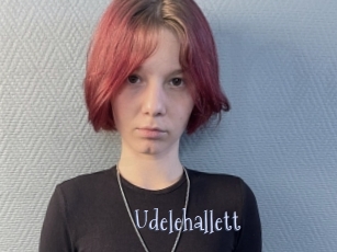 Udelehallett