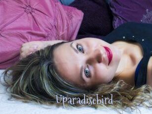 uparadisebird Faceporno