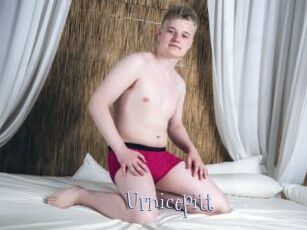Urnicepitt