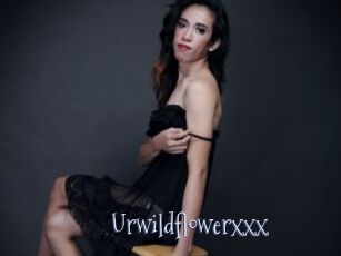 Urwildflowerxxx