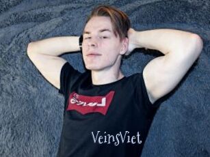 VeinsViet