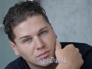 VelosaDavid