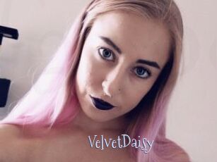 VelvetDaisy