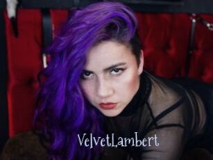 VelvetLambert