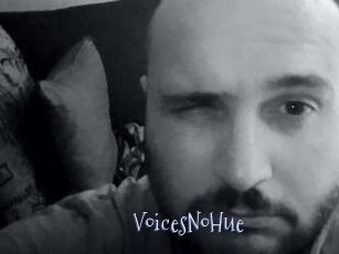 VoicesNoHue