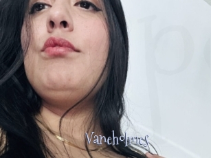 Vaneholmes