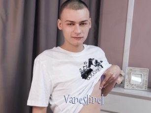 Vaneslinel