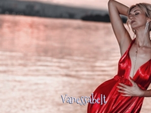 Vanessabelt