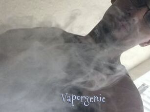 Vapor_genie