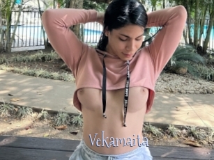 Vekamaita