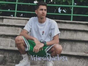 Velamikbarbosa