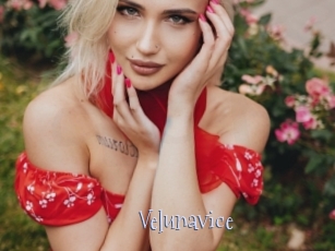 Velunavice