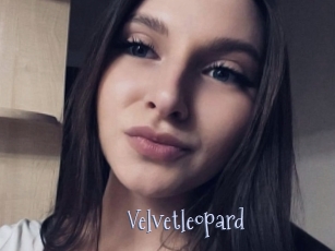 Velvetleopard