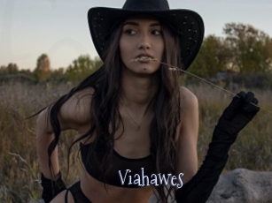 Viahawes