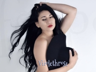 Viiolethrose