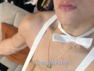 Vincentbunny