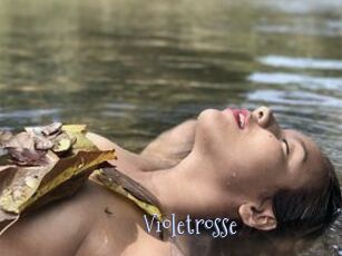 Violetrosse