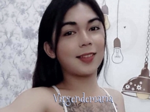 Virgendemaria