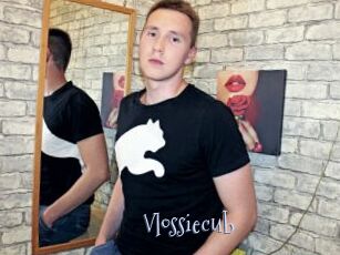 Vlossiecub