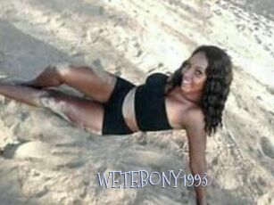 WETEBONY1993