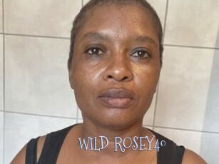WILD_ROSEY40
