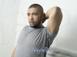 WayneBoyI