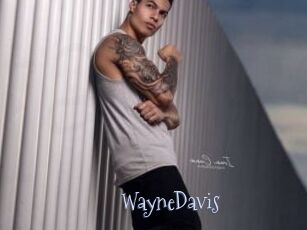 WayneDavis