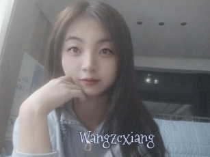 Wangzcxiang