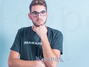 waynepark Faceporno
