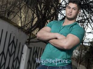 Waynneprice