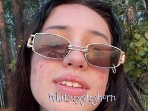 Whitneygleghorn