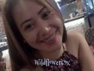 Wildflower69x
