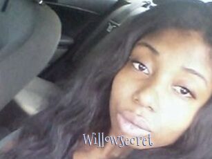 Willow_secret