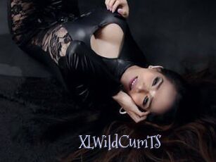 XLWildCumTS