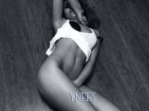 YNEES Faceporno