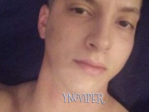 YNGVIPER