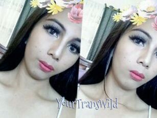 YourTransWild