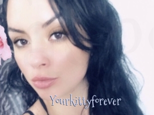 Yourkittyforever