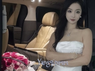 Yangqinmm