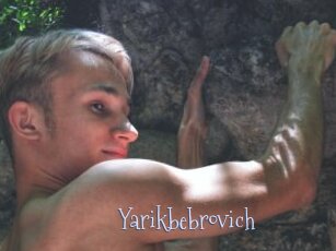 Yarikbebrovich