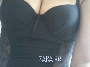 ZARA1313
