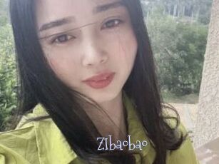 ZIbaobao