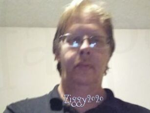 Ziggy2020