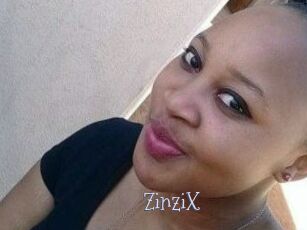 ZinziX